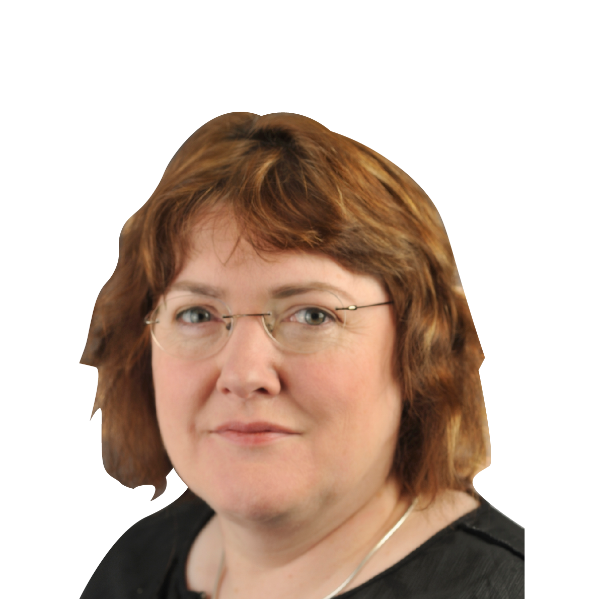 Image of Ann Kelleher